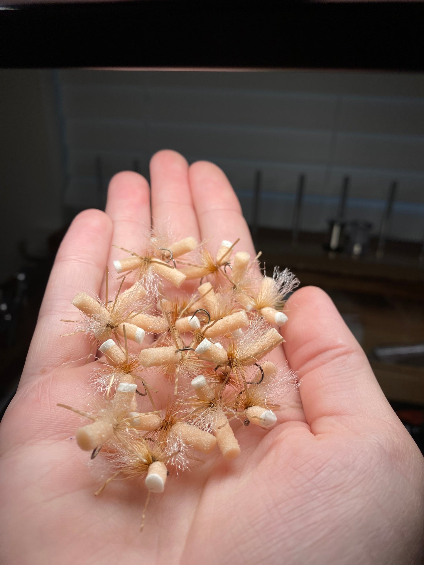 1$ BIONIC ANT BLOWOUT