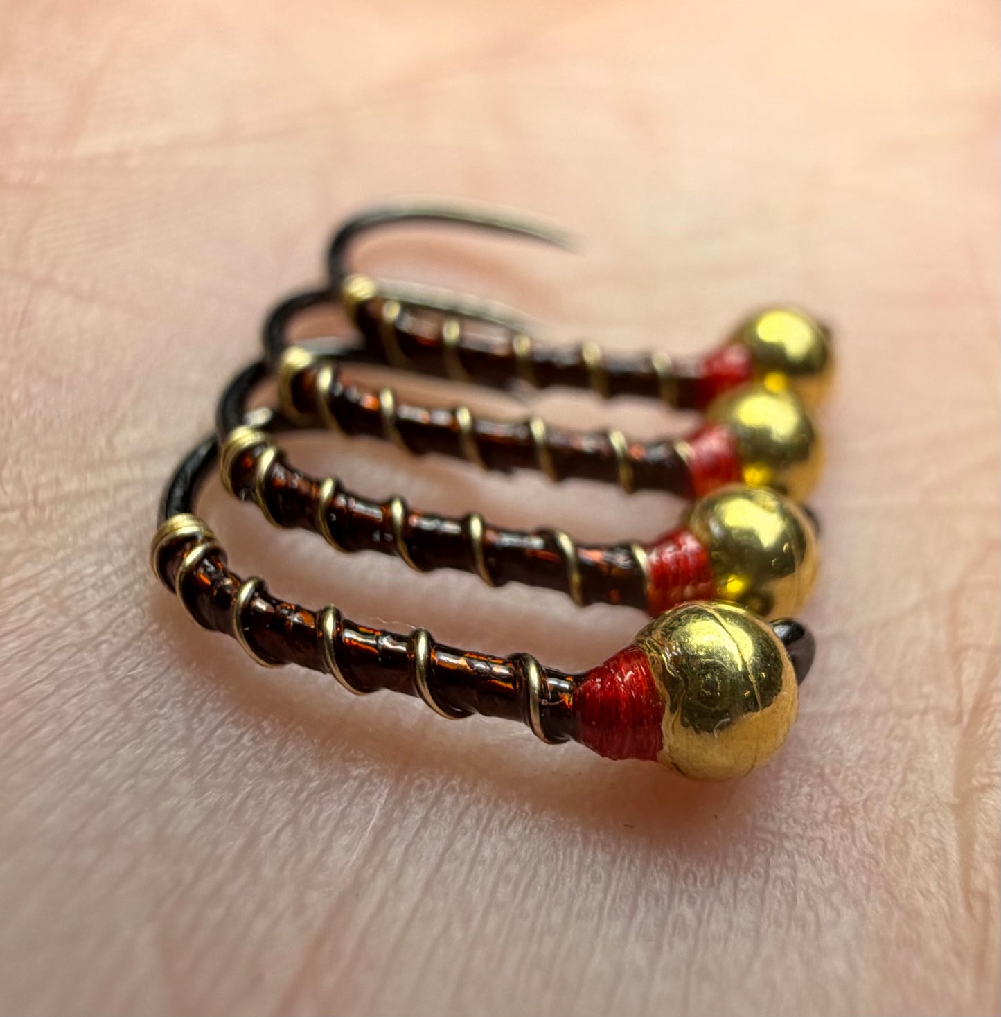 4 Pack - Brown Holo. Red Collar