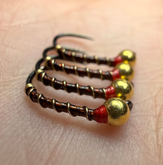 4 Pack - Brown Holo. Red Collar