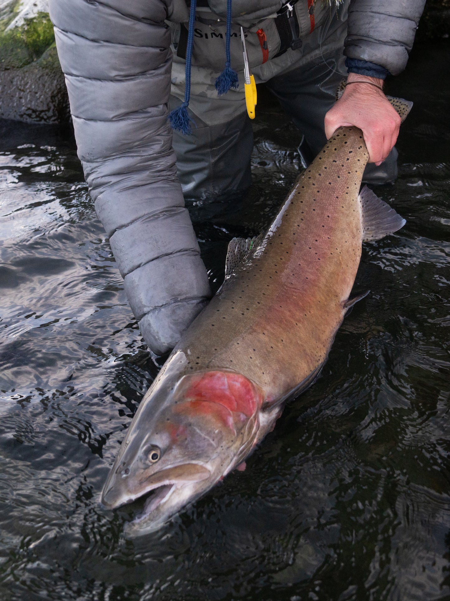12 Pack - Pyramid Midge Sampler