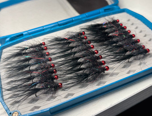 4 Pack - Balanced Leech, Black