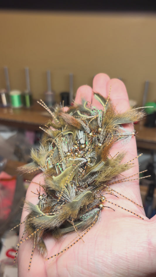 6 Pack Assortment - Mini Crawbug 2.0 *new*